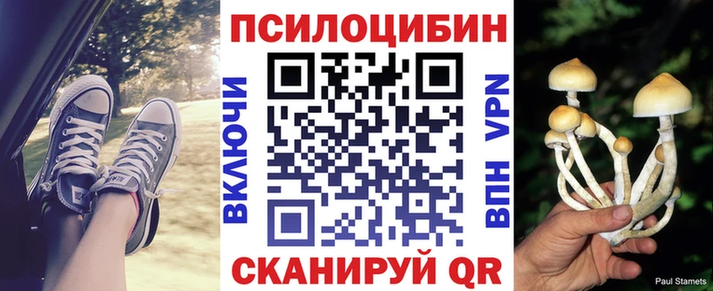 Галлюциногенные грибы мицелий  Купить  Армавир 